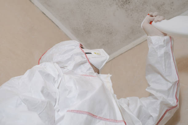 Best Toxic Mold Removal  in Redwood Valley, CA